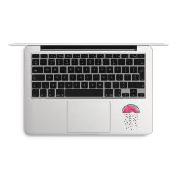 Foils for Laptops matt