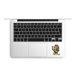 Folien für Laptops matt