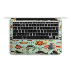 Foils for Laptops matt