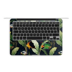 Foils for Laptops matt