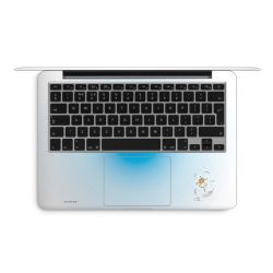 Folien für Laptops matt