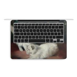 Foils for Laptops matt