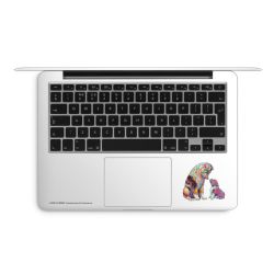 Foils for Laptops matt