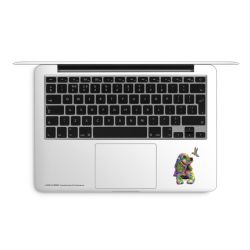 Foils for Laptops matt