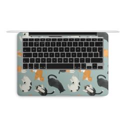 Foils for Laptops matt