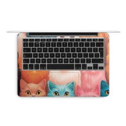 Foils for Laptops matt