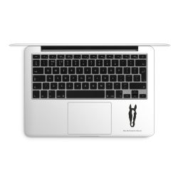 Foils for Laptops matt