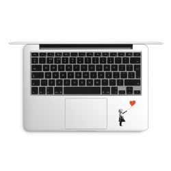 Foils for Laptops matt