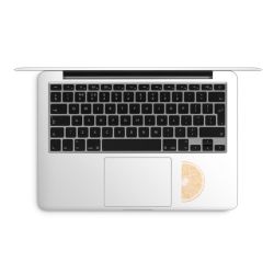 Foils for Laptops matt