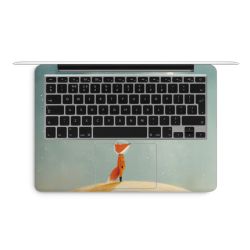 Foils for Laptops matt