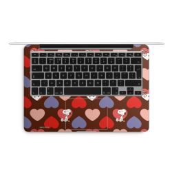 Foils for Laptops matt