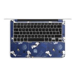 Foils for Laptops matt