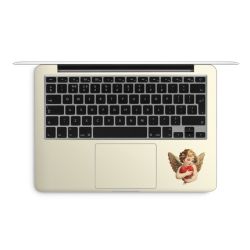 Foils for Laptops matt