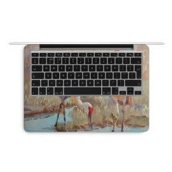 Foils for Laptops matt