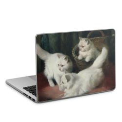 Foils for Laptops matt