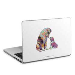 Foils for Laptops matt