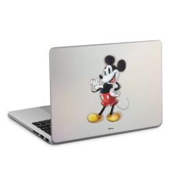 Foils for Laptops matt