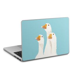 Foils for Laptops matt