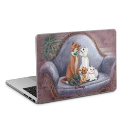 Foils for Laptops matt