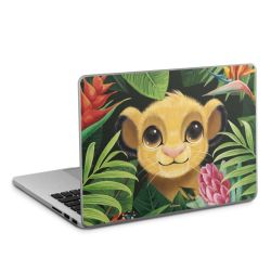 Foils for Laptops matt