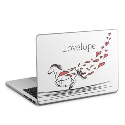 Foils for Laptops matt