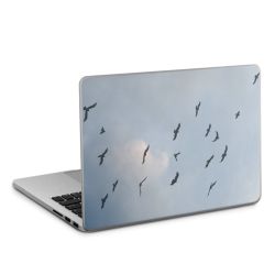 Foils for Laptops matt