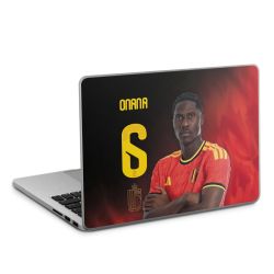 Foils for Laptops matt