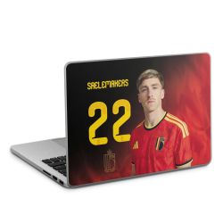 Foils for Laptops matt