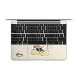 Foils for Laptops matt