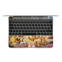 Foils for Laptops matt