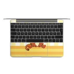 Foils for Laptops matt