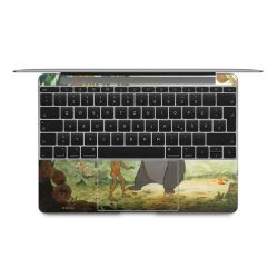 Foils for Laptops matt