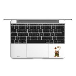 Foils for Laptops matt