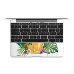 Foils for Laptops matt