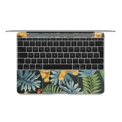 Foils for Laptops matt