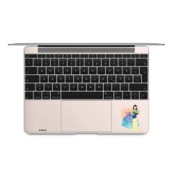 Foils for Laptops matt