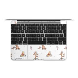 Foils for Laptops matt