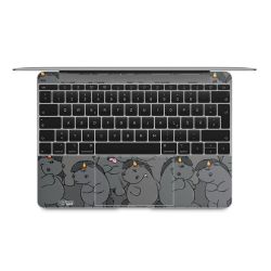 Folien für Laptops matt