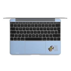 Foils for Laptops matt