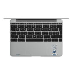 Foils for Laptops matt