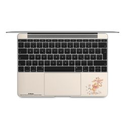 Foils for Laptops matt