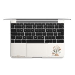 Foils for Laptops matt