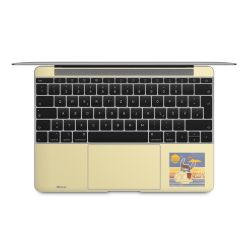 Foils for Laptops matt