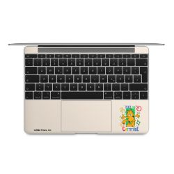 Foils for Laptops matt