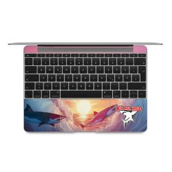 Foils for Laptops matt