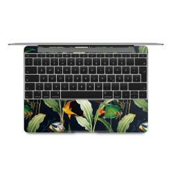 Foils for Laptops matt