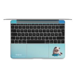 Foils for Laptops matt