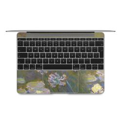 Foils for Laptops matt