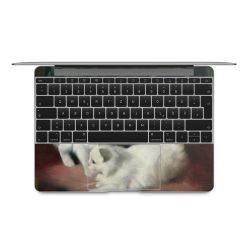 Foils for Laptops matt