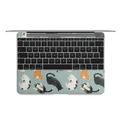 Foils for Laptops matt